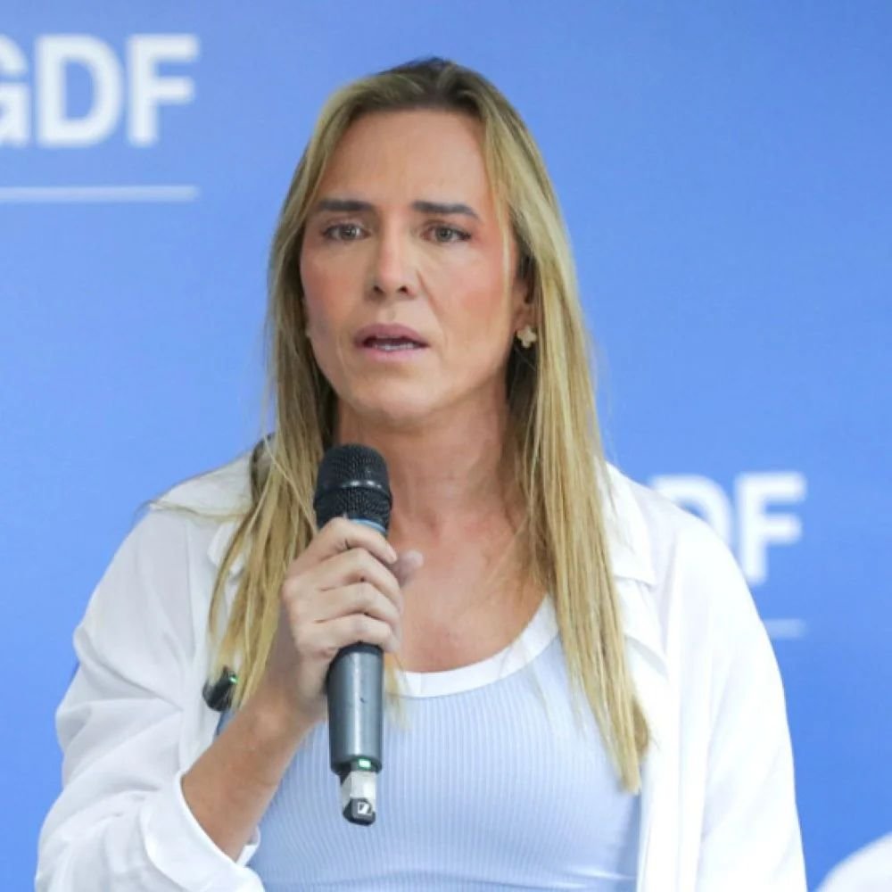 Celina Leão em evento de campanha
