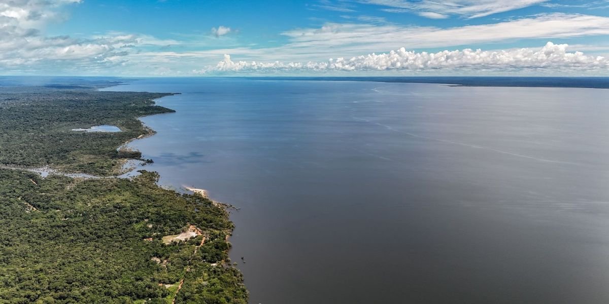 Candidatos apresentam propostas para meio ambiente e clima